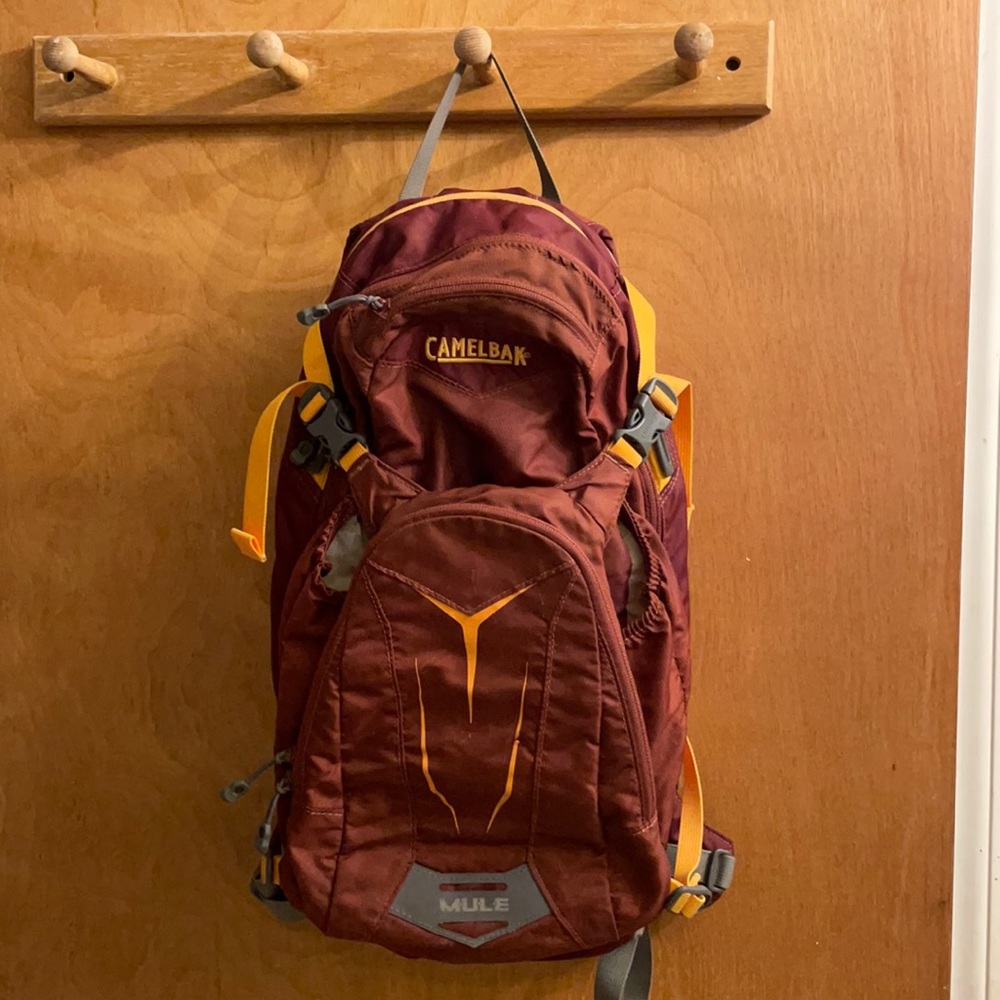 Camelbak mule